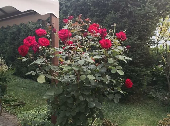 La Casa Di Tino フォンタネッラート