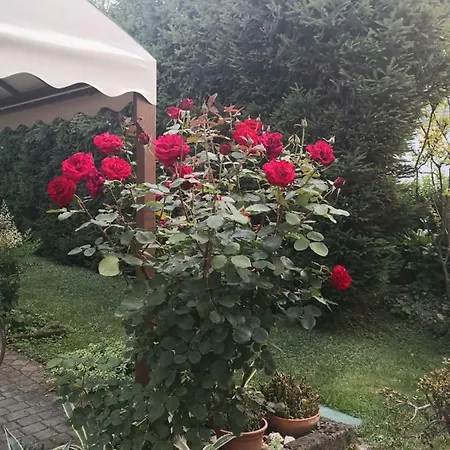 La Casa Di Tino Fontanellato