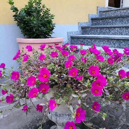 Konukevi La Casa Di Tino Fontanellato